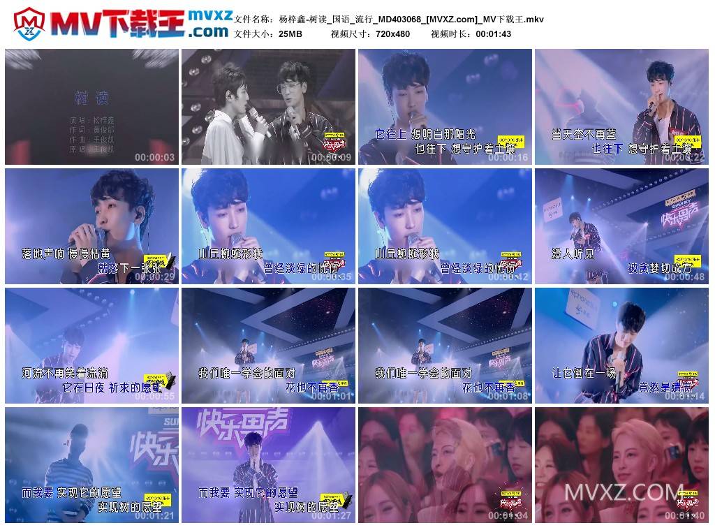 杨梓鑫-树读_国语_流行_MD403068